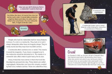 Alternative view 4 of Tracking Meteors, Asteroids, and Comets with Velma