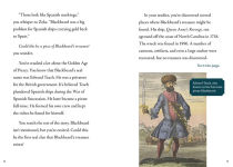Alternative view 2 of Can You Spot Blackbeard's Treasure?: An Interactive Treasure Adventure