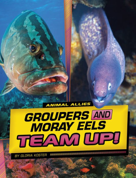 Groupers and Moray Eels Team Up!