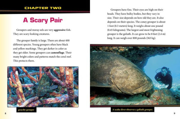 Groupers and Moray Eels Team Up!