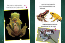 Alternative view 3 of Super Surprising Trivia About Rain Forest Animals