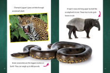 Alternative view 4 of Super Surprising Trivia About Rain Forest Animals