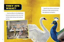 Alternative view 2 of Super Surprising Trivia About the Middle Ages