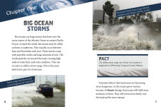 Alternative view 2 of Hurricanes and the Environment