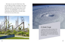 Alternative view 4 of Hurricanes and the Environment