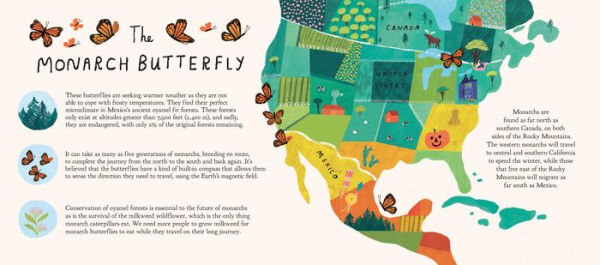 Look to the Skies: The Magical Migration of the Monarch Butterfly