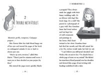 Alternative view 6 of Mirror Magic