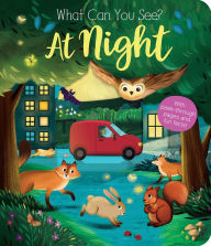 Title: What Can You See? At Night: With Peek-Through Pages and Fun Facts!, Author: Kate Ware