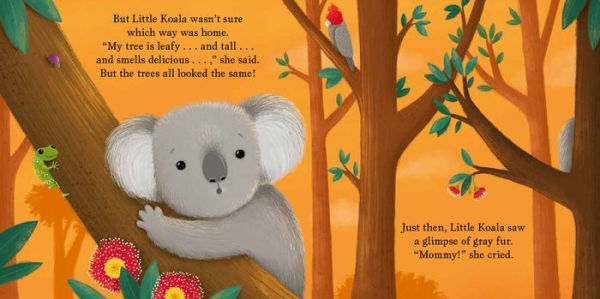 Cuddle Close, Little Koala