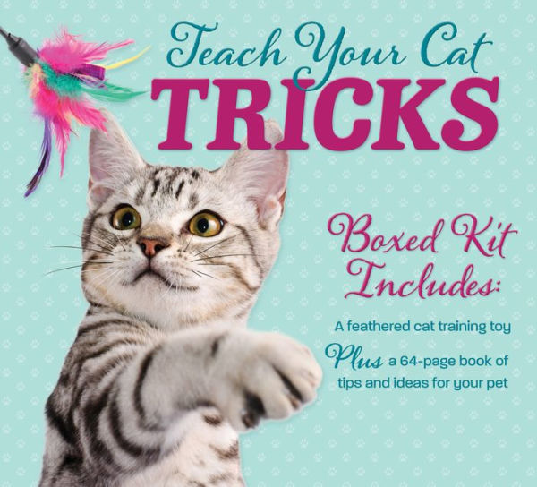 Teach Your Cat Tricks