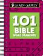 101 Bible Word Search