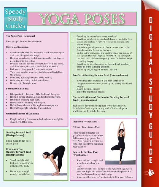 Yoga for Beginners With Over 100 Yoga Poses (Boxed Set): Helps