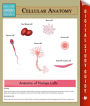 Cellular Anatomy: Speedy Study Guides