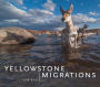 Yellowstone Migrations: Preserving Freedom to Roam