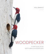 Title: Woodpecker: A Year in the Life of North American Woodpeckers, Author: Paul Bannick