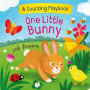 One Little Bunny: A Counting Playbook