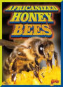 Africanized Honeybees