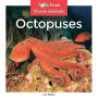 Octopuses