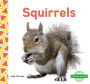 Squirrels