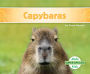 Capybaras