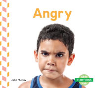 Title: Angry, Author: Julie Murray