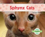 Sphynx Cats