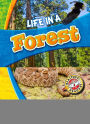 Life in a Desert