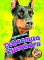 Doberman Pinschers