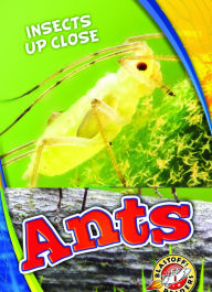 Title: Ants, Author: Patrick Perish