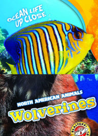Title: Wolverines, Author: Betsy Rathburn