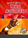 Orange Animals