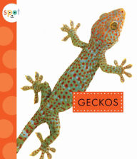 Title: Geckos, Author: Rachel Bach