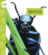 Title: Beetles, Author: Nessa Black