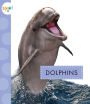 Dolphins