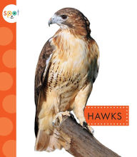Title: Hawks, Author: Mari Schuh