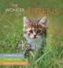 The Wonder of Kittens