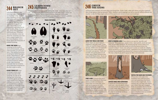 The Ultimate Bushcraft Survival Manual