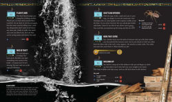 Alternative view 15 of Escape the Mummy's Tomb: Crack The Codes, Solve The Puzzles, And Make Your Escape!