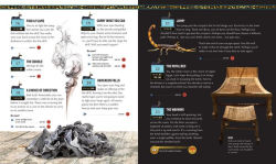 Alternative view 17 of Escape the Mummy's Tomb: Crack The Codes, Solve The Puzzles, And Make Your Escape!