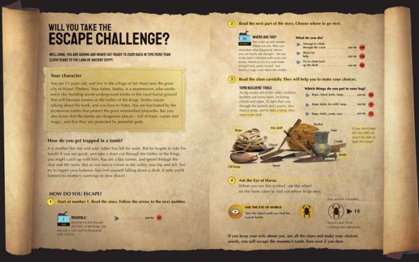 Escape the Mummy's Tomb: Crack The Codes, Solve The Puzzles, And Make Your Escape!