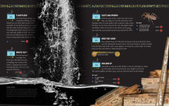 Alternative view 20 of Escape the Mummy's Tomb: Crack The Codes, Solve The Puzzles, And Make Your Escape!