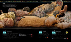 Alternative view 8 of Escape the Mummy's Tomb: Crack The Codes, Solve The Puzzles, And Make Your Escape!