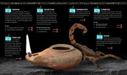 Alternative view 9 of Escape the Mummy's Tomb: Crack The Codes, Solve The Puzzles, And Make Your Escape!
