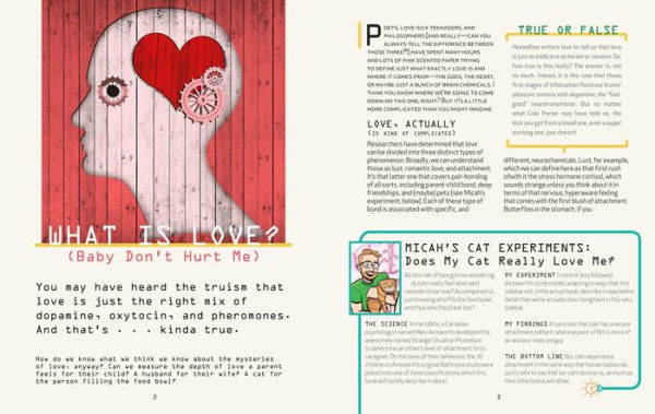 Brains Explained: How They Work & Why They Work That Way STEM Learning about the Human Brain Fun and Educational Facts about Human Body