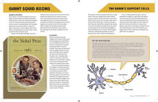 Alternative view 5 of Brains Explained: How They Work & Why They Work That Way STEM Learning about the Human Brain Fun and Educational Facts about Human Body