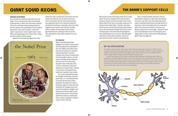 Brains Explained: How They Work & Why They Work That Way STEM Learning about the Human Brain Fun and Educational Facts about Human Body