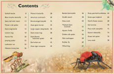 Alternative view 2 of The Magnificent Book of Insects and Spiders: (Animal Books for Kids, Natural History Books for Kids)