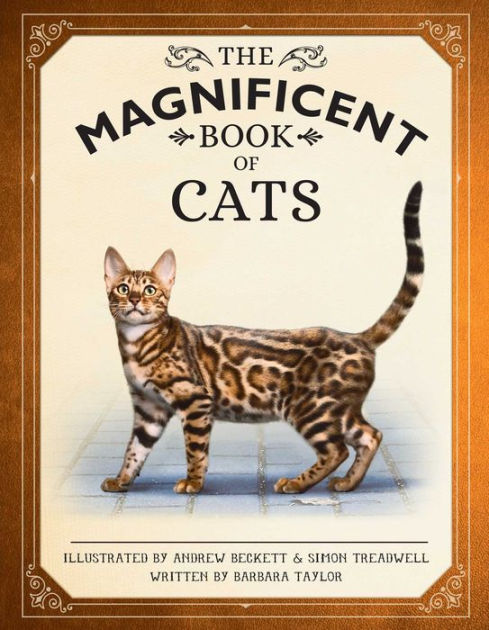 The Magnificent Book of Cats: (Kids Books About Cats, Middle Grade Cat  Books, Books About Animals) by Barbara Taylor, Andrew Beckett, Hardcover