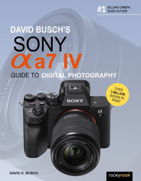 David Busch's Sony Alpha A6600/Ilce-6600 Guide to Digital Photography -  (The David Busch Camera Guide) by David D Busch (Paperback)