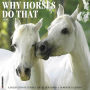 2018 Why Horses Do That Wall Calendar